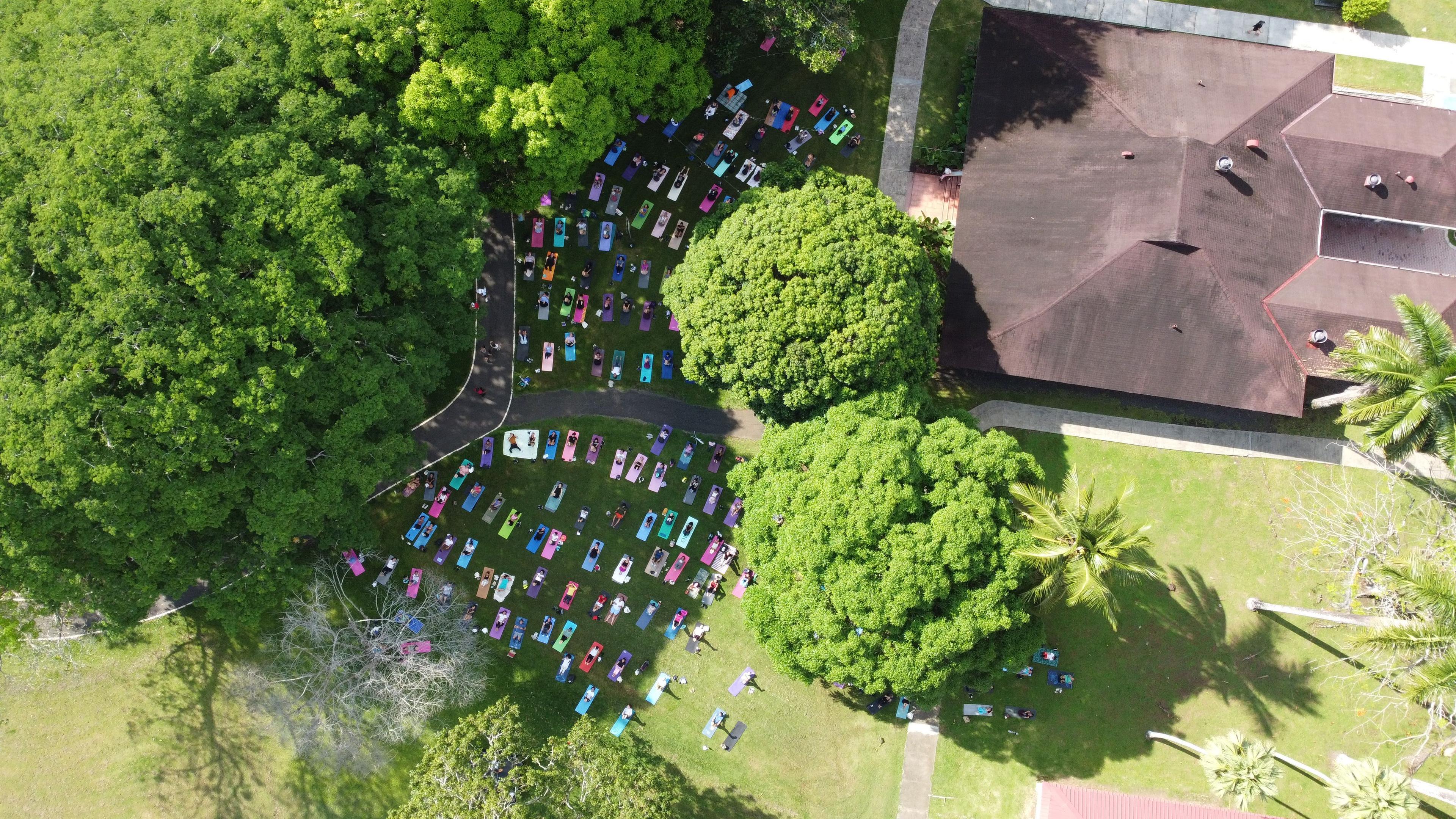 soy un alt por defecto por favor validar en imagen