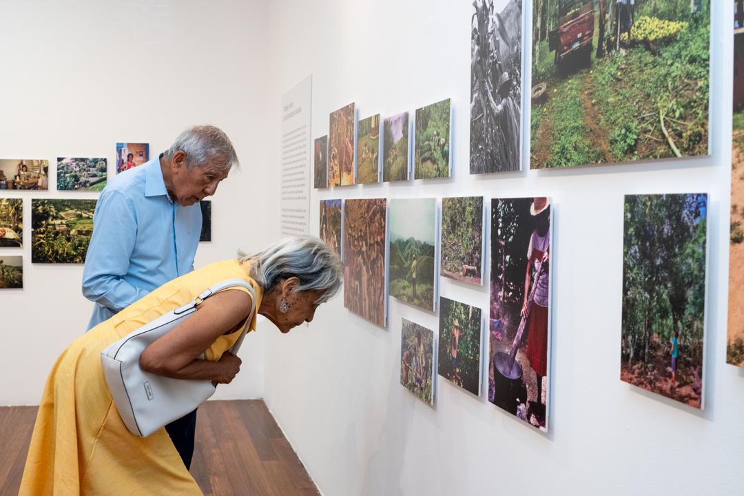 soy un alt por defecto por favor validar en imagen