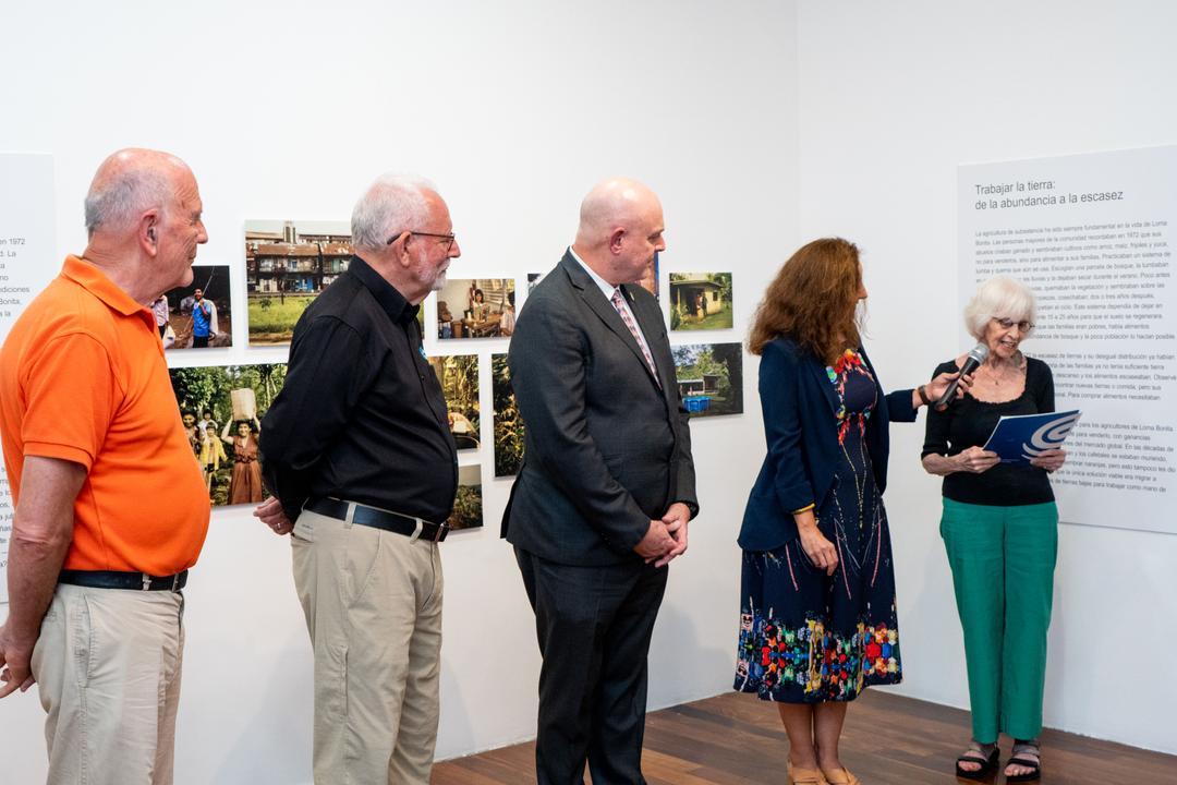 soy un alt por defecto por favor validar en imagen