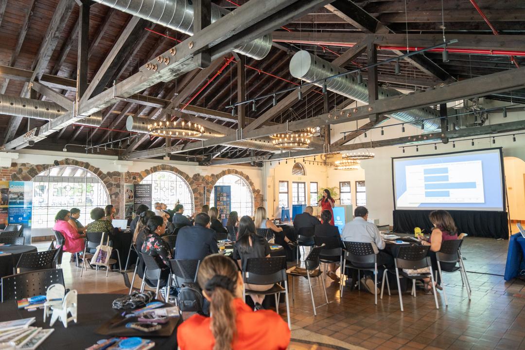 soy un alt por defecto por favor validar en imagen