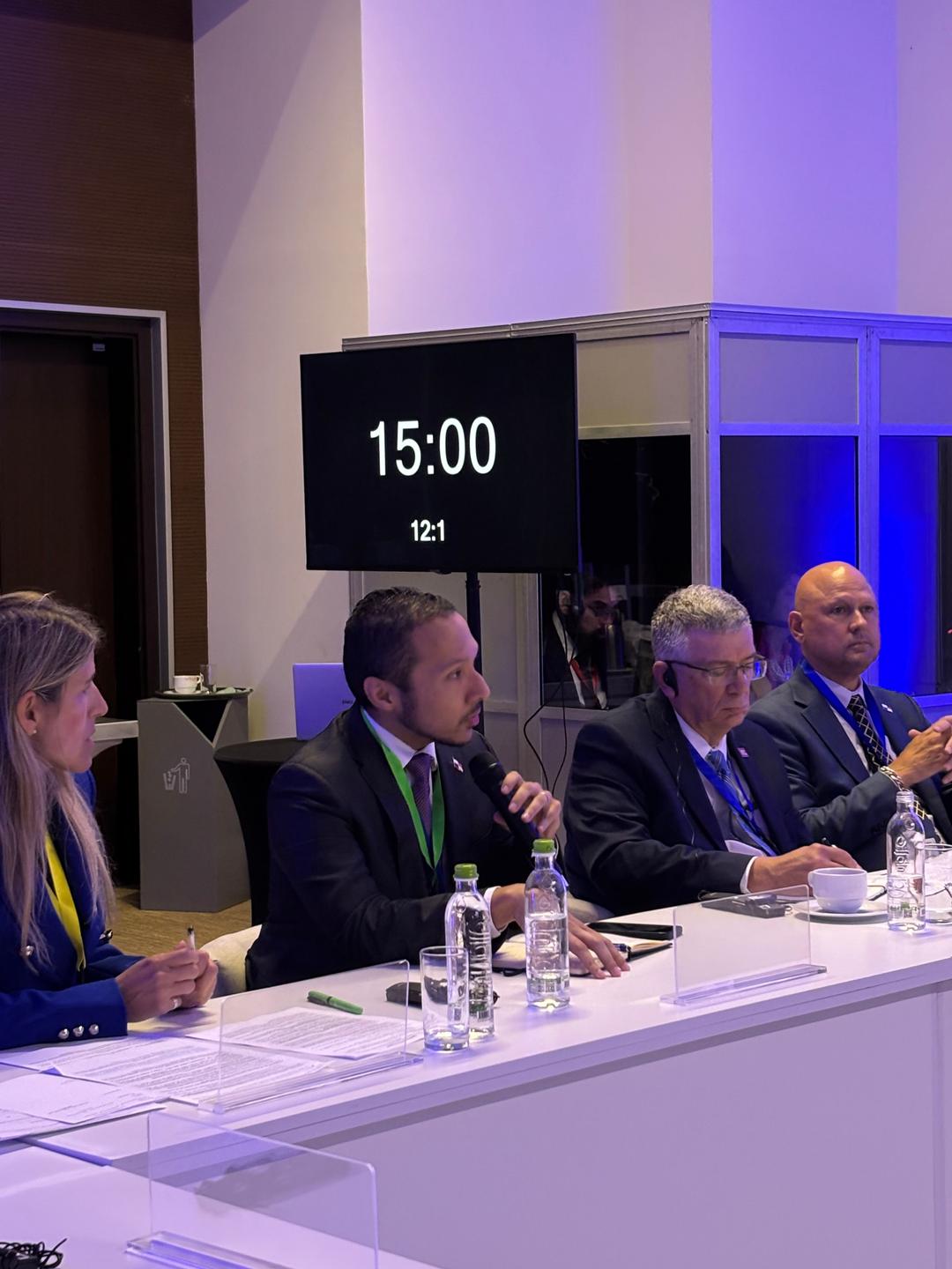 soy un alt por defecto por favor validar en imagen