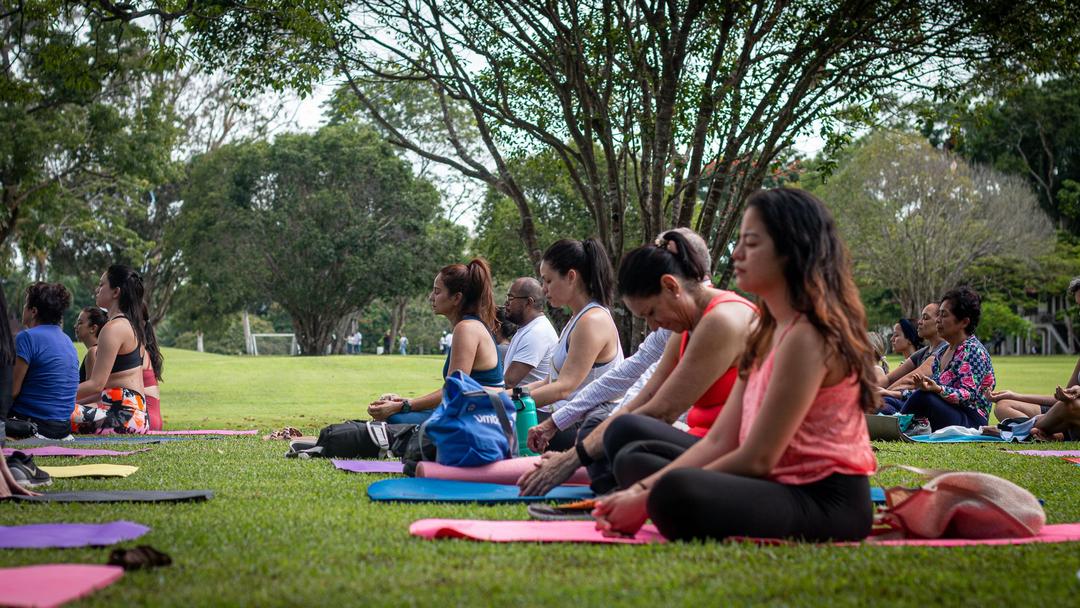 soy un alt por defecto por favor validar en imagen