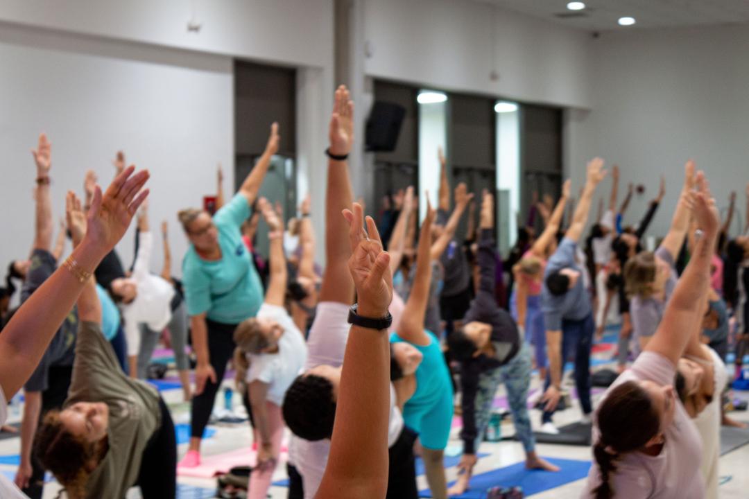 soy un alt por defecto por favor validar en imagen