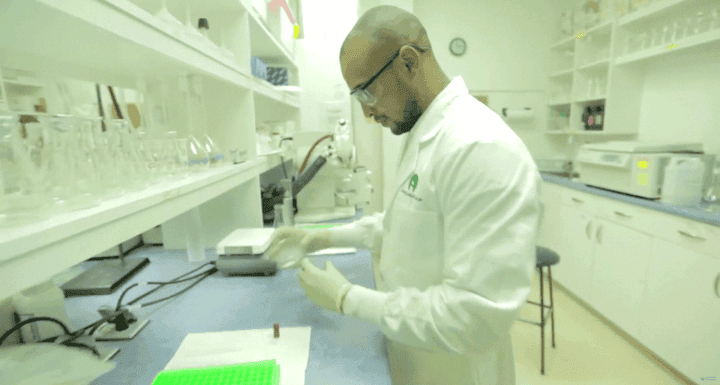 soy un alt por defecto por favor validar en imagen