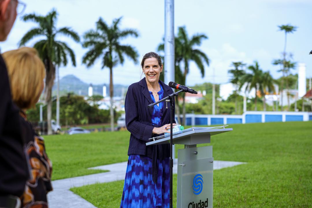 soy un alt por defecto por favor validar en imagen