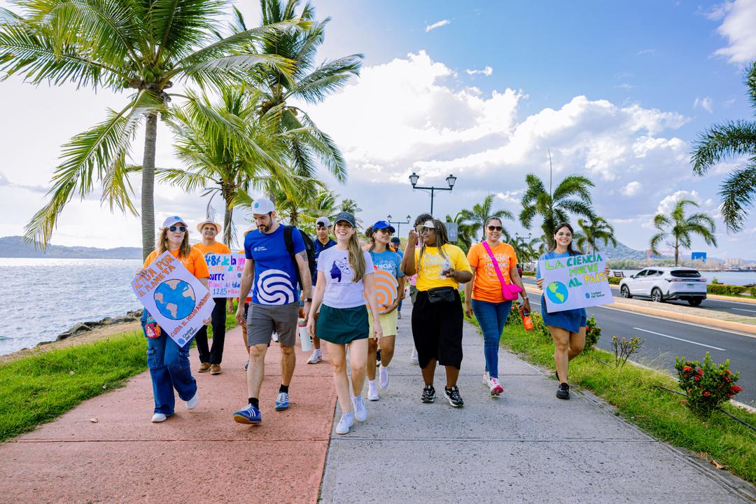 soy un alt por defecto por favor validar en imagen