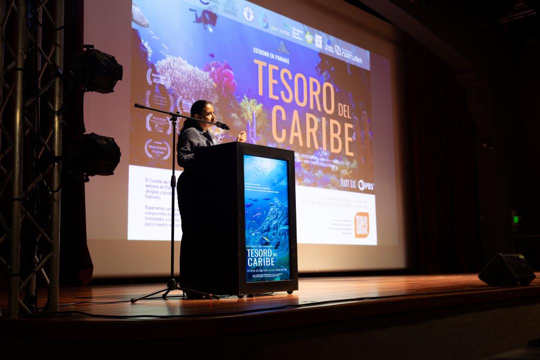 soy un alt por defecto por favor validar en imagen