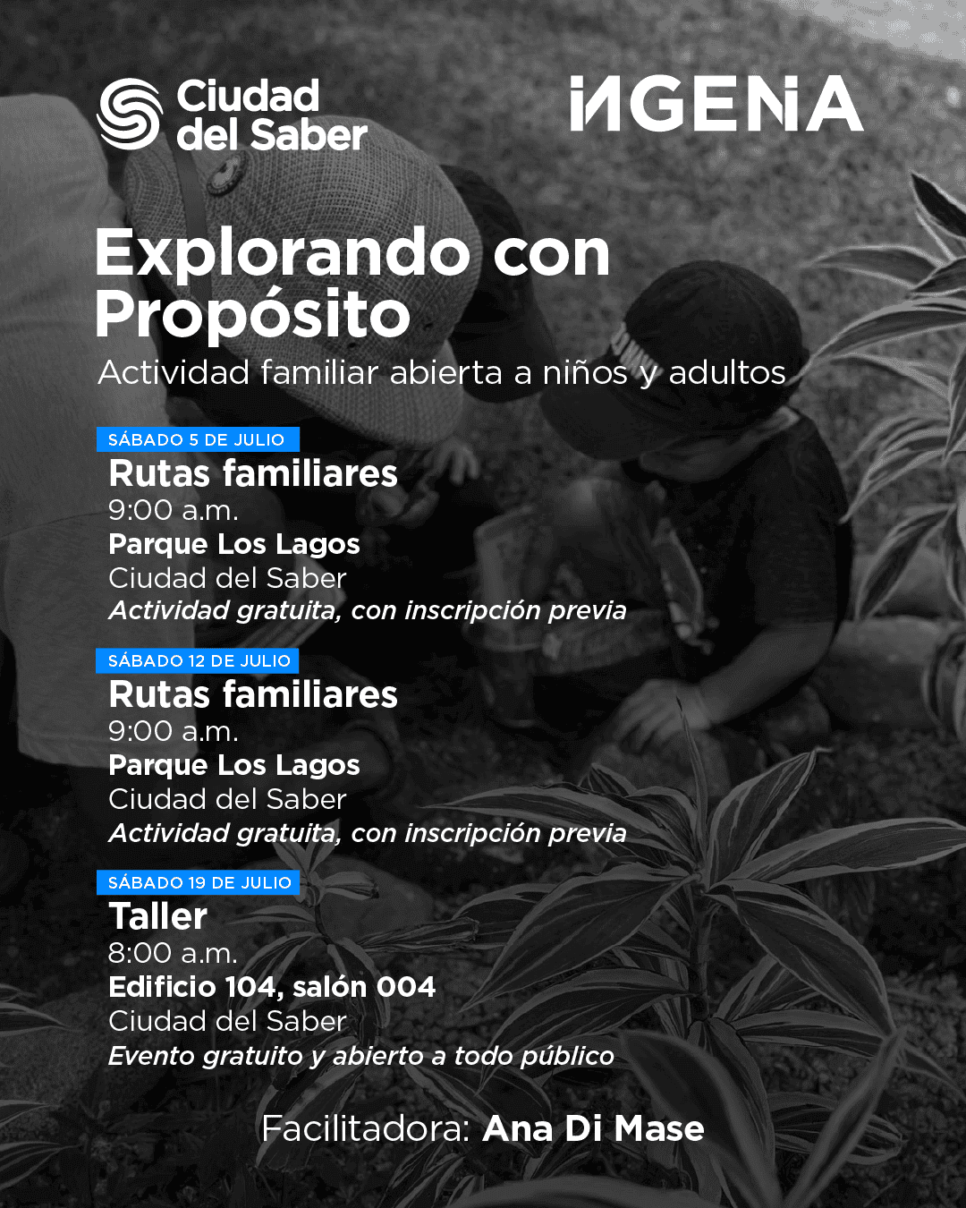 soy un alt por defecto por favor validar en imagen