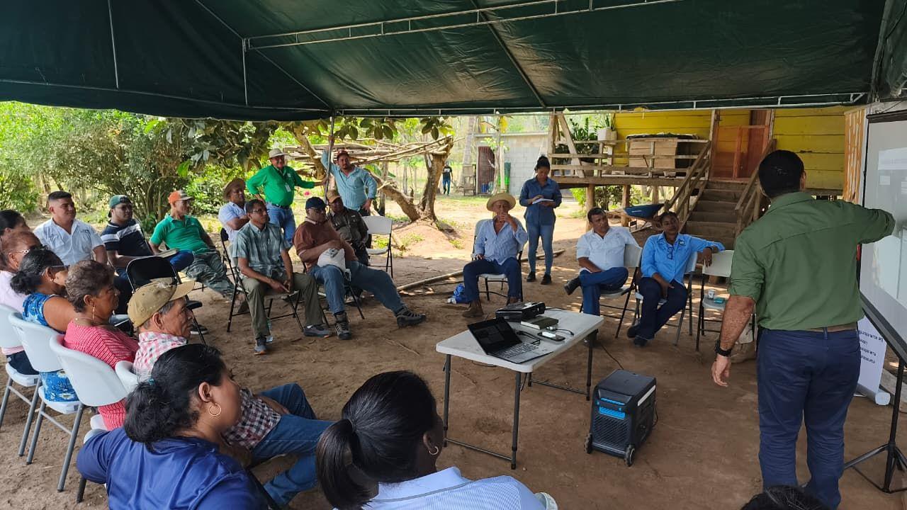 soy un alt por defecto por favor validar en imagen