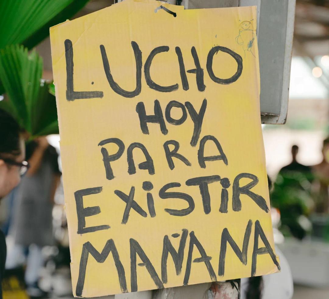 soy un alt por defecto por favor validar en imagen