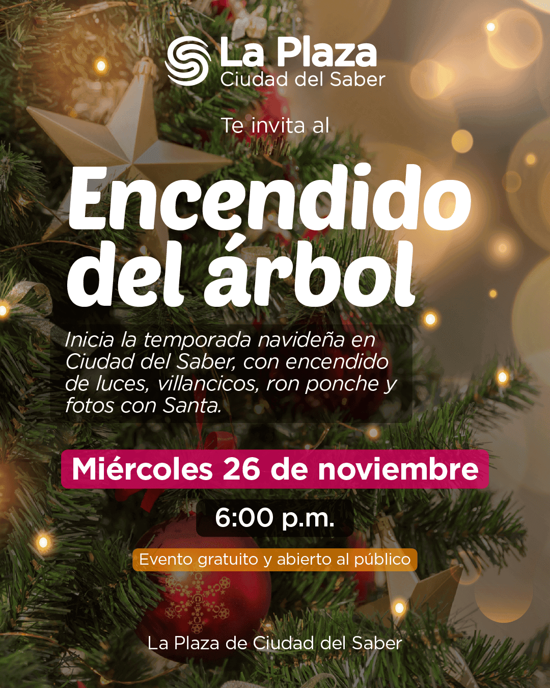 soy un alt por defecto por favor validar en imagen