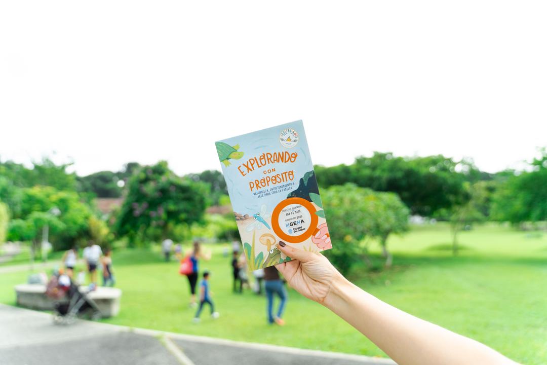 soy un alt por defecto por favor validar en imagen