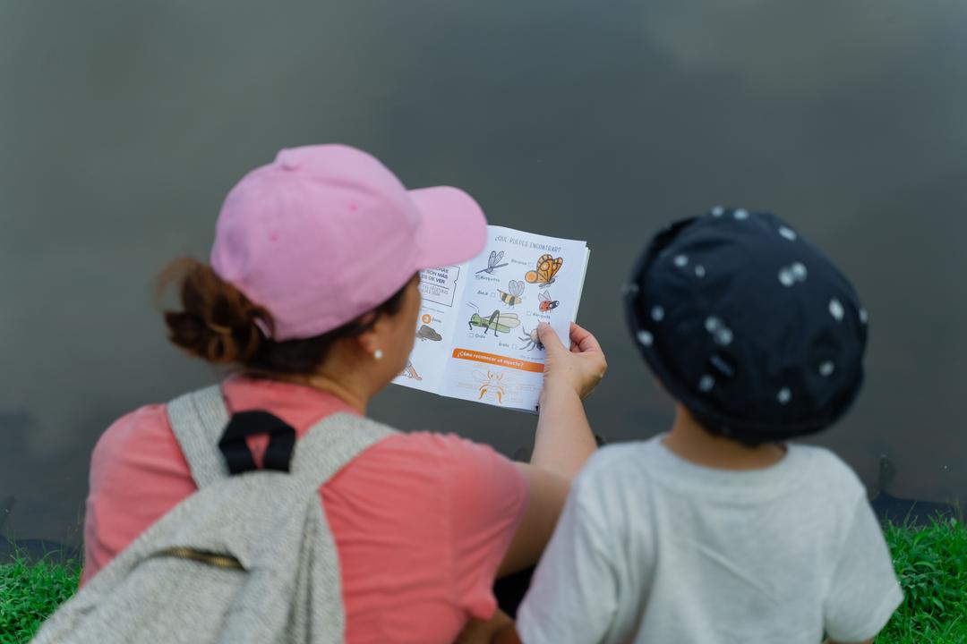 soy un alt por defecto por favor validar en imagen