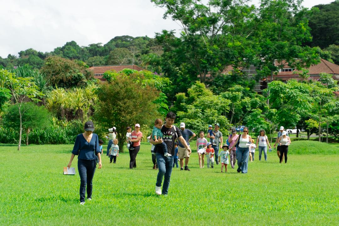 soy un alt por defecto por favor validar en imagen