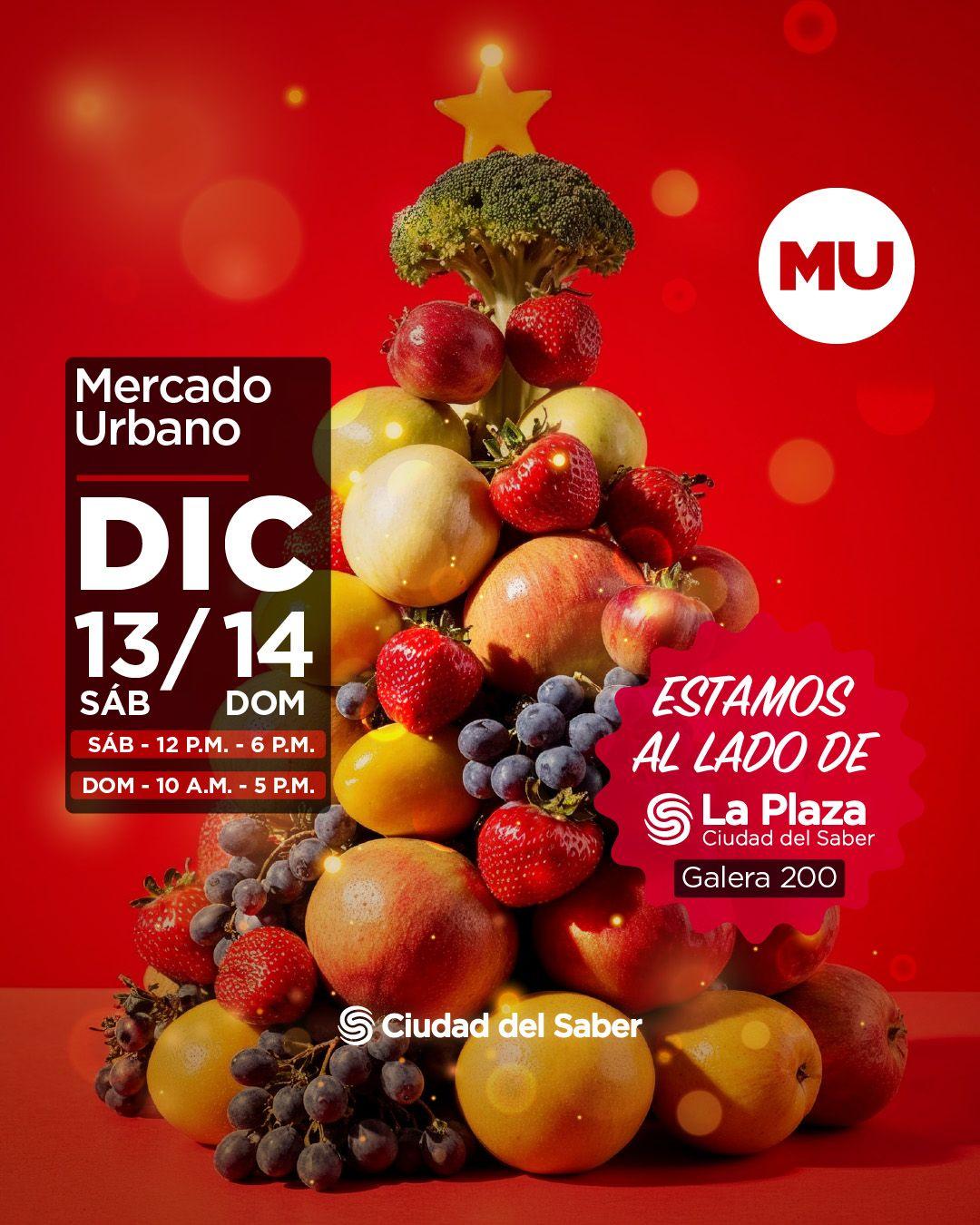 soy un alt por defecto por favor validar en imagen