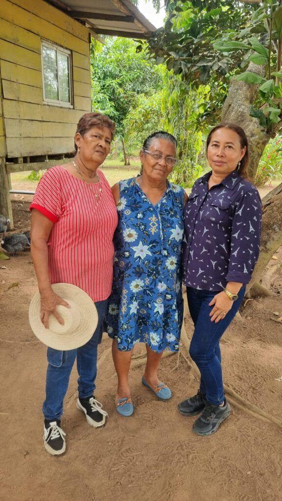 soy un alt por defecto por favor validar en imagen