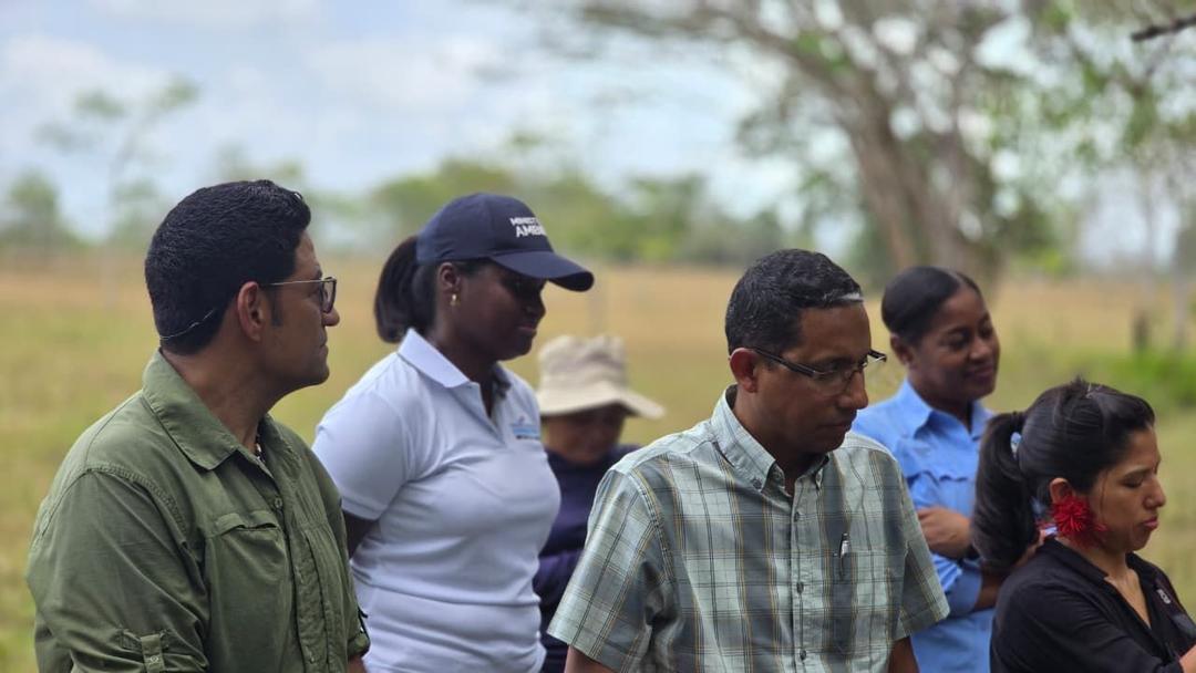 soy un alt por defecto por favor validar en imagen