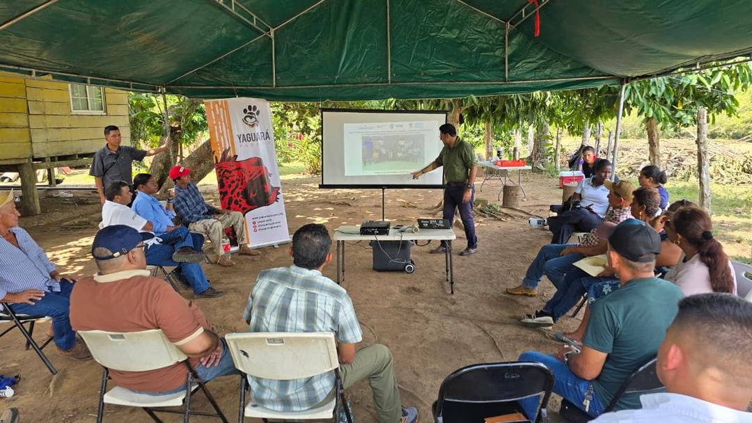 soy un alt por defecto por favor validar en imagen