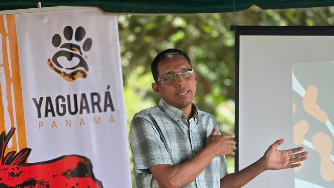 soy un alt por defecto por favor validar en imagen