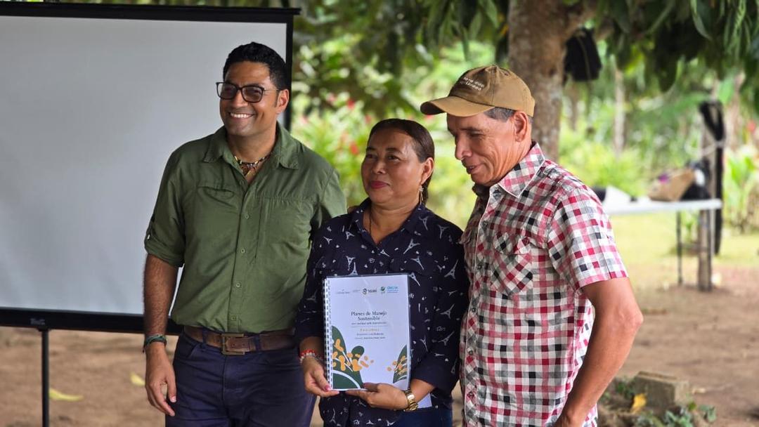 soy un alt por defecto por favor validar en imagen