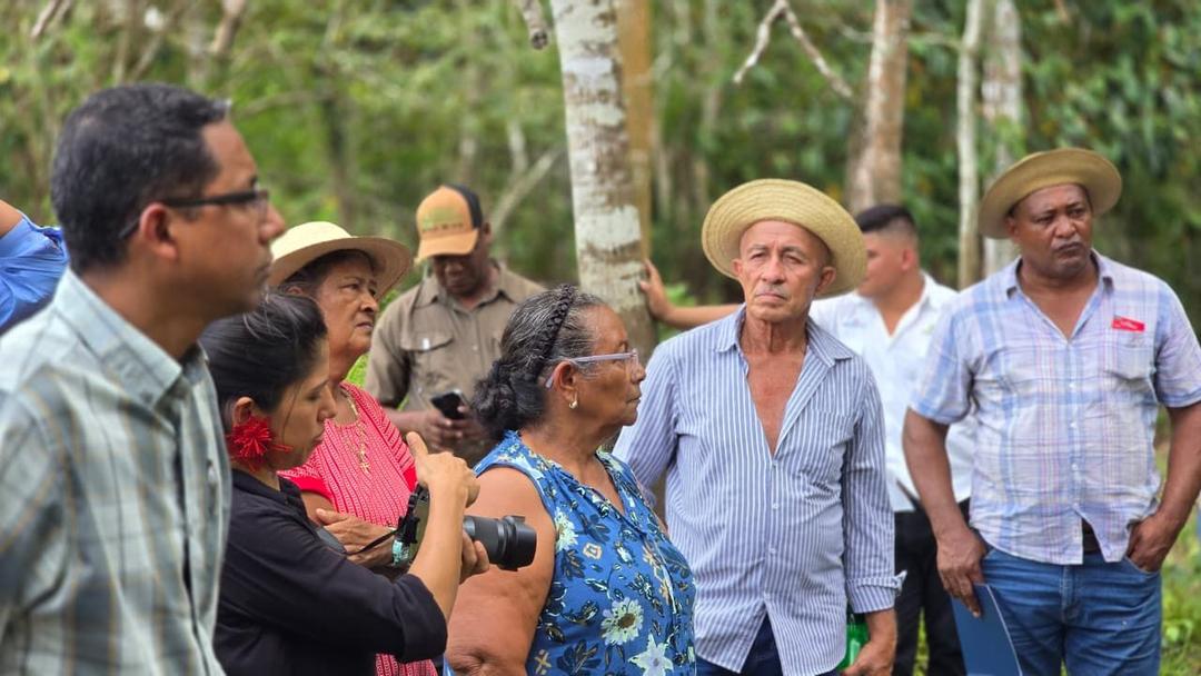 soy un alt por defecto por favor validar en imagen