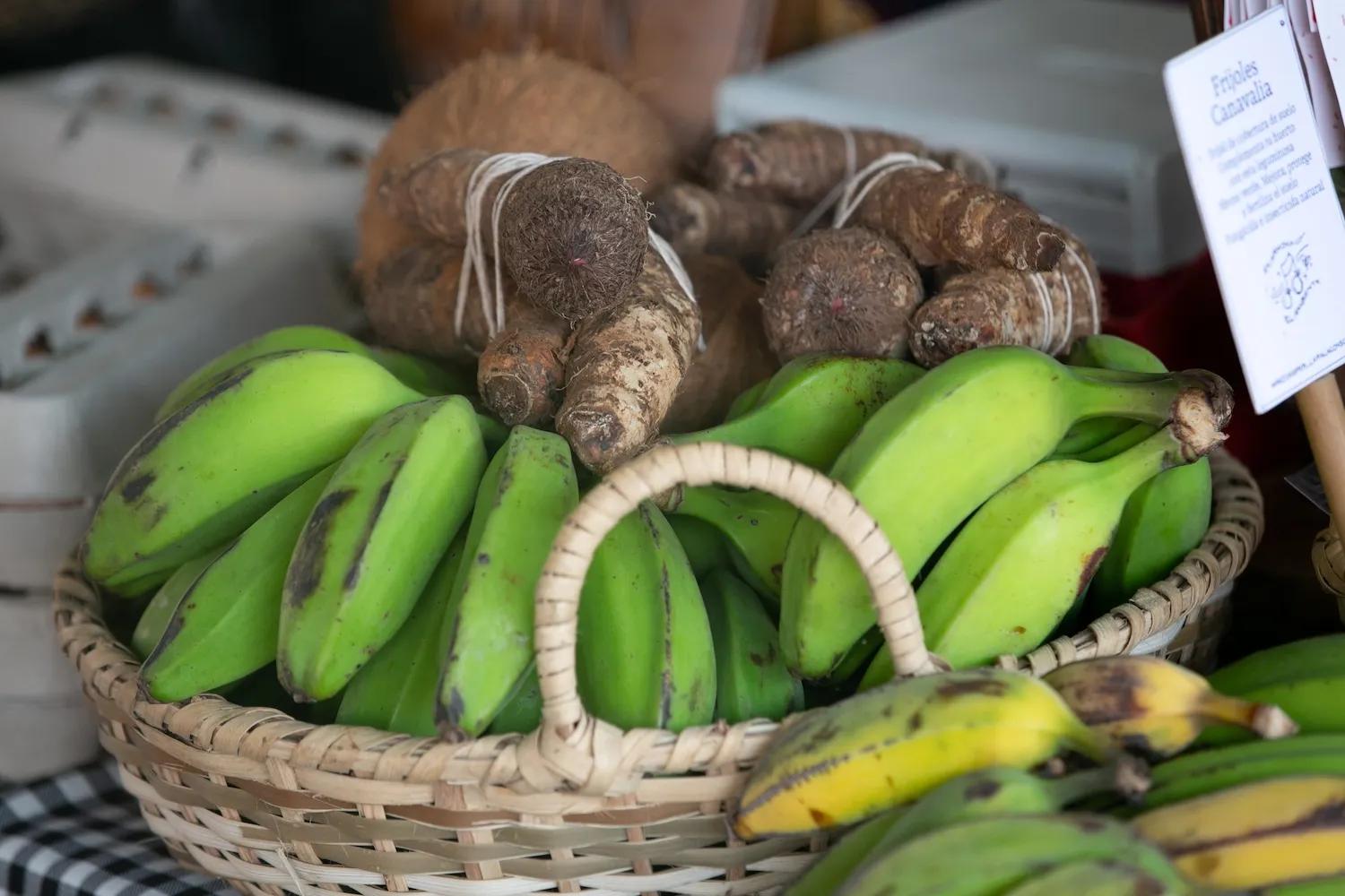 Productos sembrados en el Mercado Urbano de Ciudad del Saber